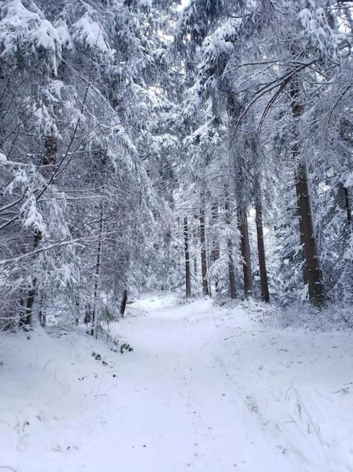 (Ferien-)Wohnung im schönen Fichtelgebirge Marktredwitz Exterior foto