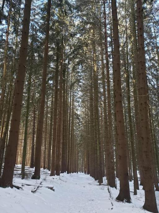 (Ferien-)Wohnung im schönen Fichtelgebirge Marktredwitz Exterior foto